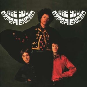 JIMI HENDRIX EXPERIENCE ARE YOU EXPERIENCED 2 X LP 2015