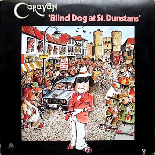 CARAVAN BLIND DOG